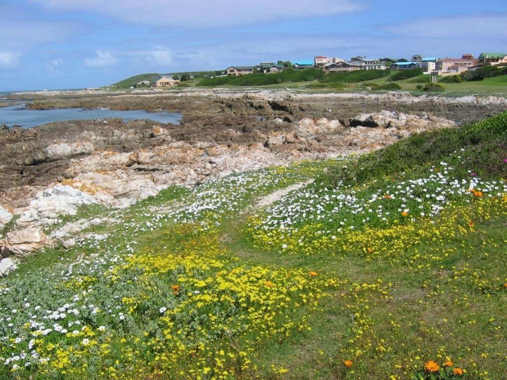 Aire Del Mar Guest House Kleinbaai Exteriér fotografie